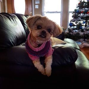 Meet your Posher, Alissa